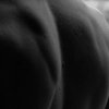 Bodies in Pieces 2008