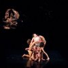 Bodies in Pieces 2008