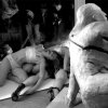 Bodies in Pieces 2008