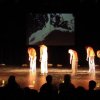 Perception 2011